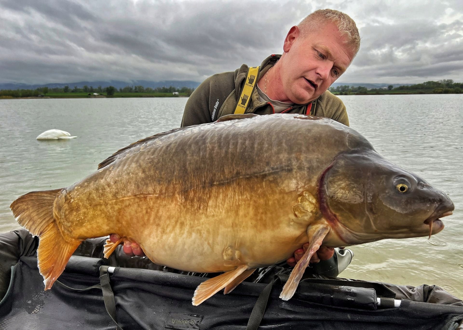 Carp Food Boosted  - hook balls 18mm/300g Walnut Tigers Manufacturer code AM11884TA