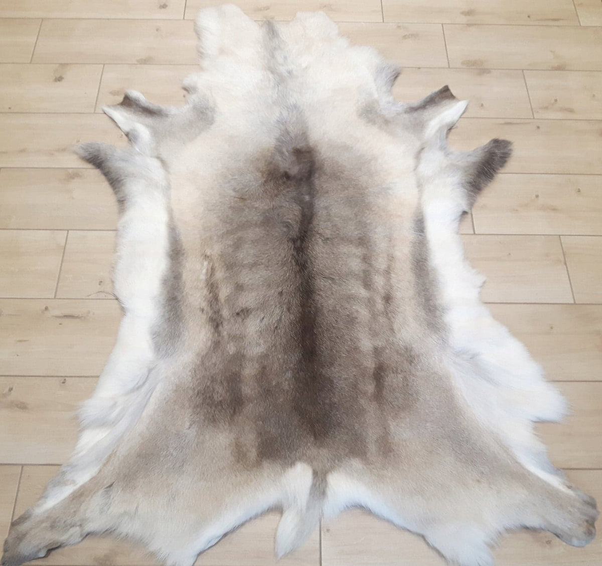 Carpet LEATHER WITH REINDEER EXCELLENT DECORATION Brand no brand
