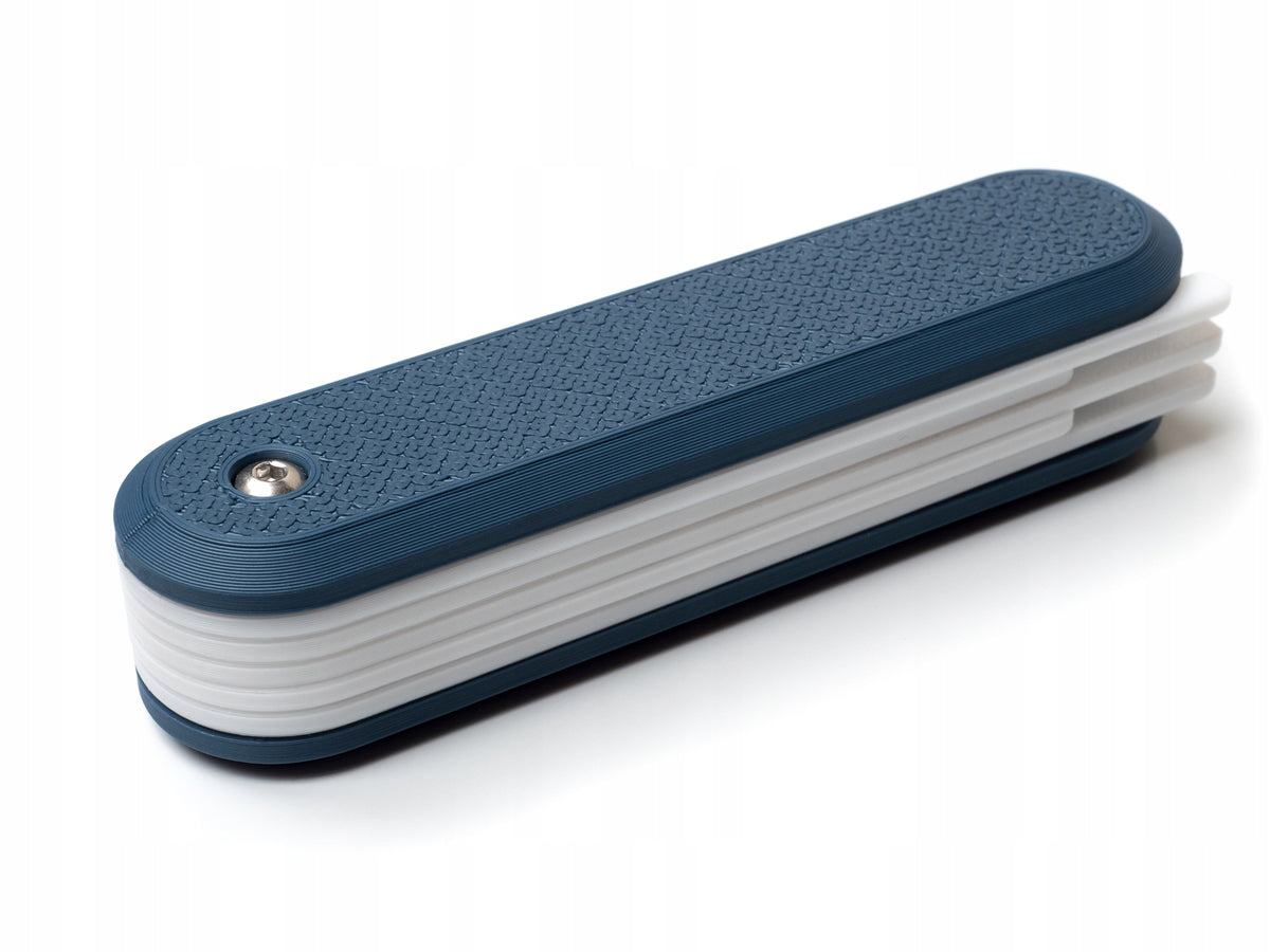 Case case organizer for 10 SD memory cards