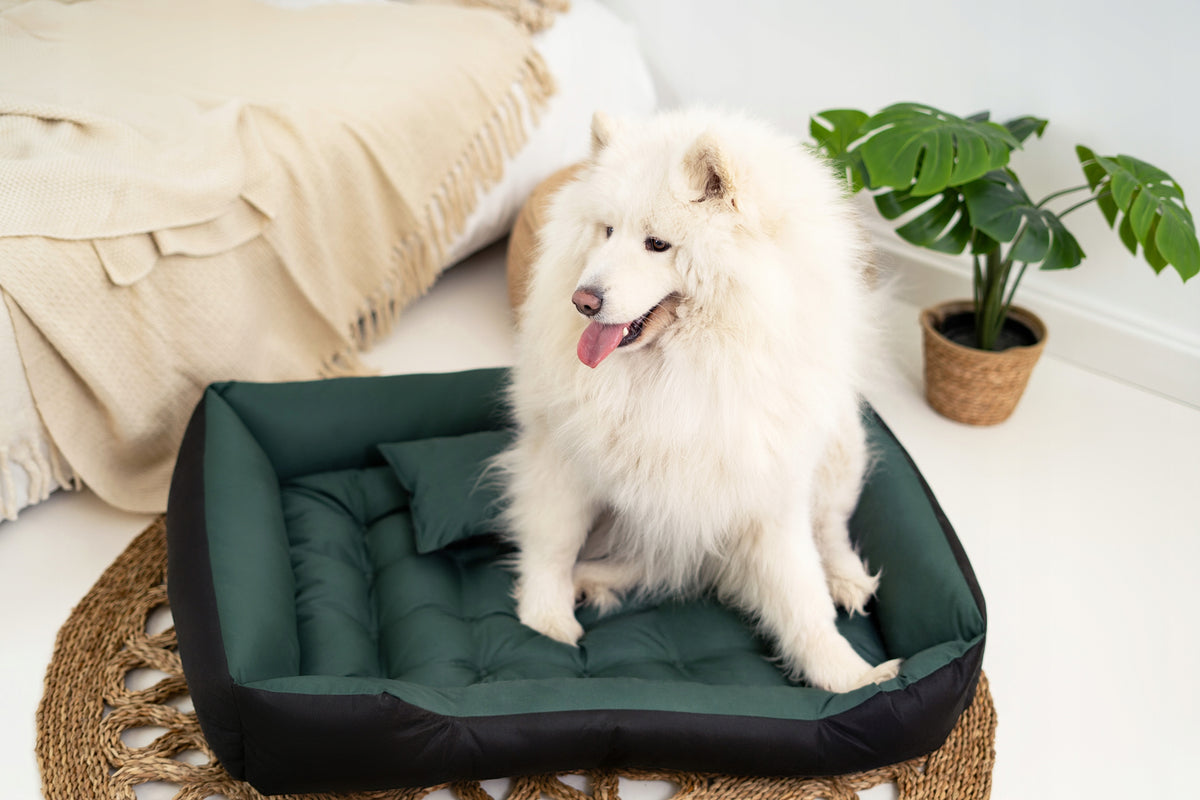 Cat Dog Bed Couch Playpen Waterproof Green 75x65 cm Manufacturer code ECCO75/65ZIE