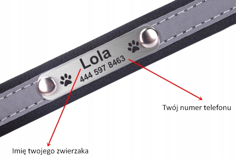Cat Dog Collar Personalized Name + Phone Number S Pink Brand no brand