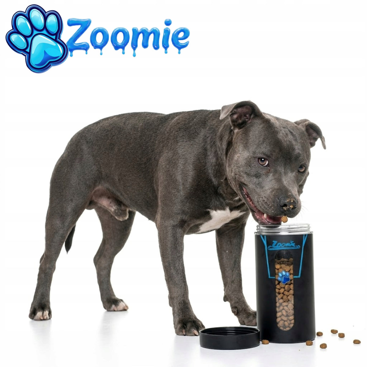 Cat Dog Food Container Matte Food Storage Box Brand no brand