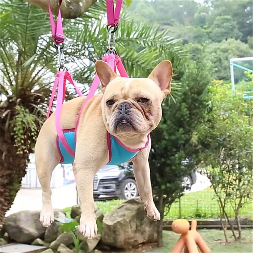 Cat Dog Hammock Helper Pet Grooming Hammock for Cat Bathing Blue Rose Red S Brand no brand