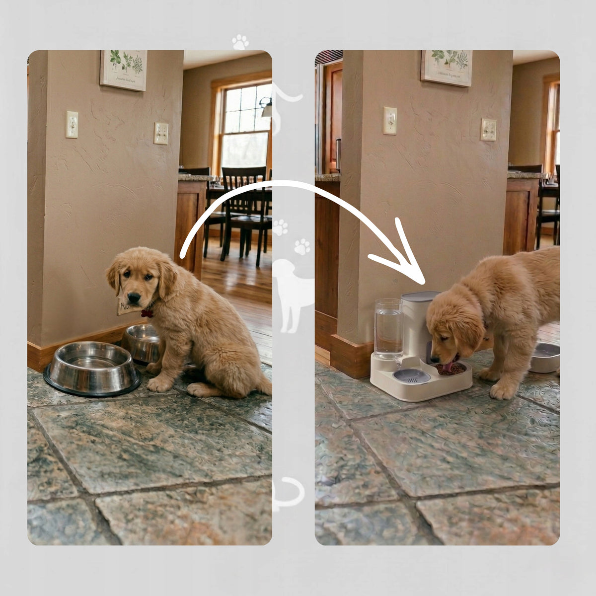 Cat Drinker Dog Water and Food Dispenser 2in1 Automatic Dispenser Bowl Manufacturer code AUTOMATYCZNY PODAJNIK