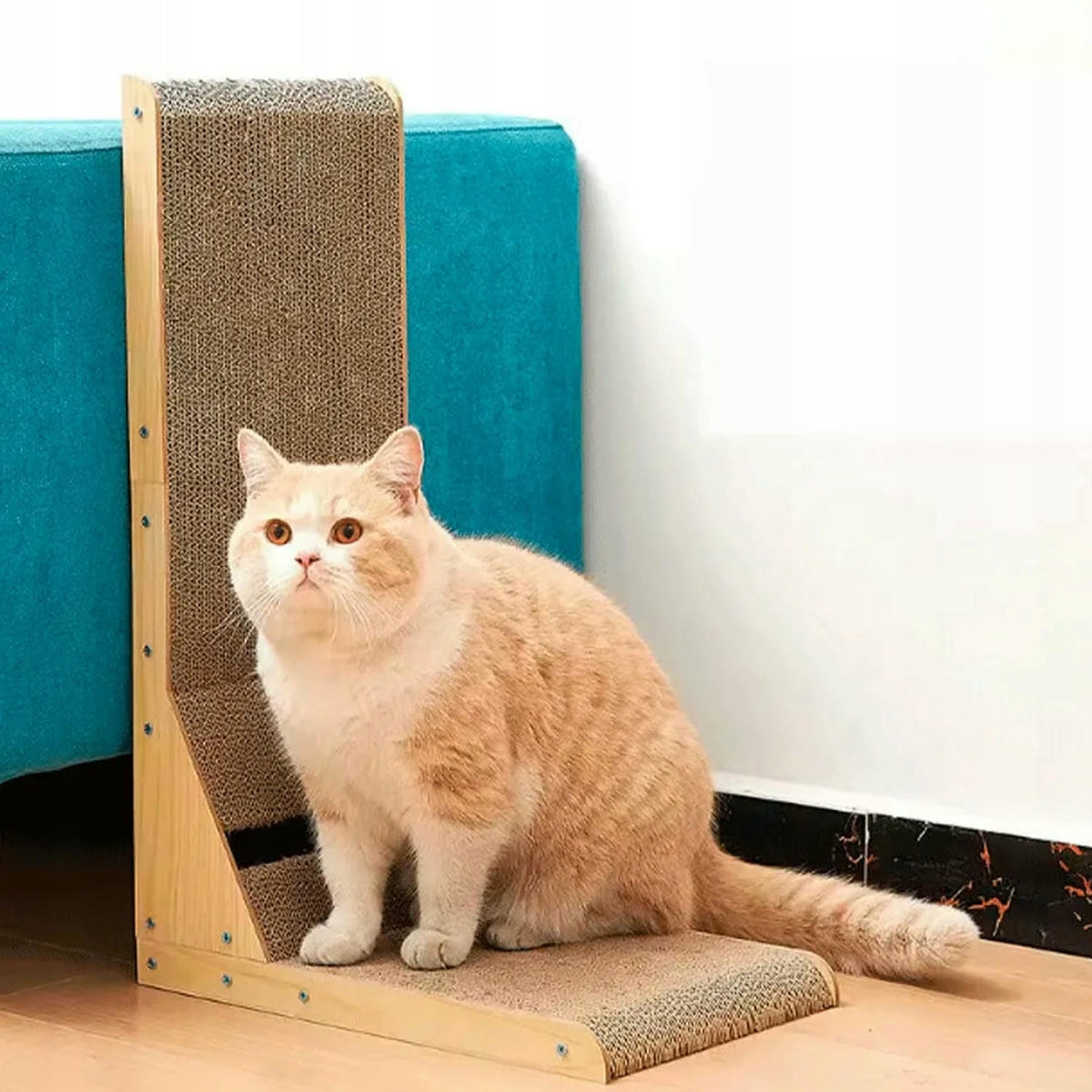 Cat Scratcher Corner with Ball 60 cm 2in1 + CATNIP Manufacturer code SNAPPY