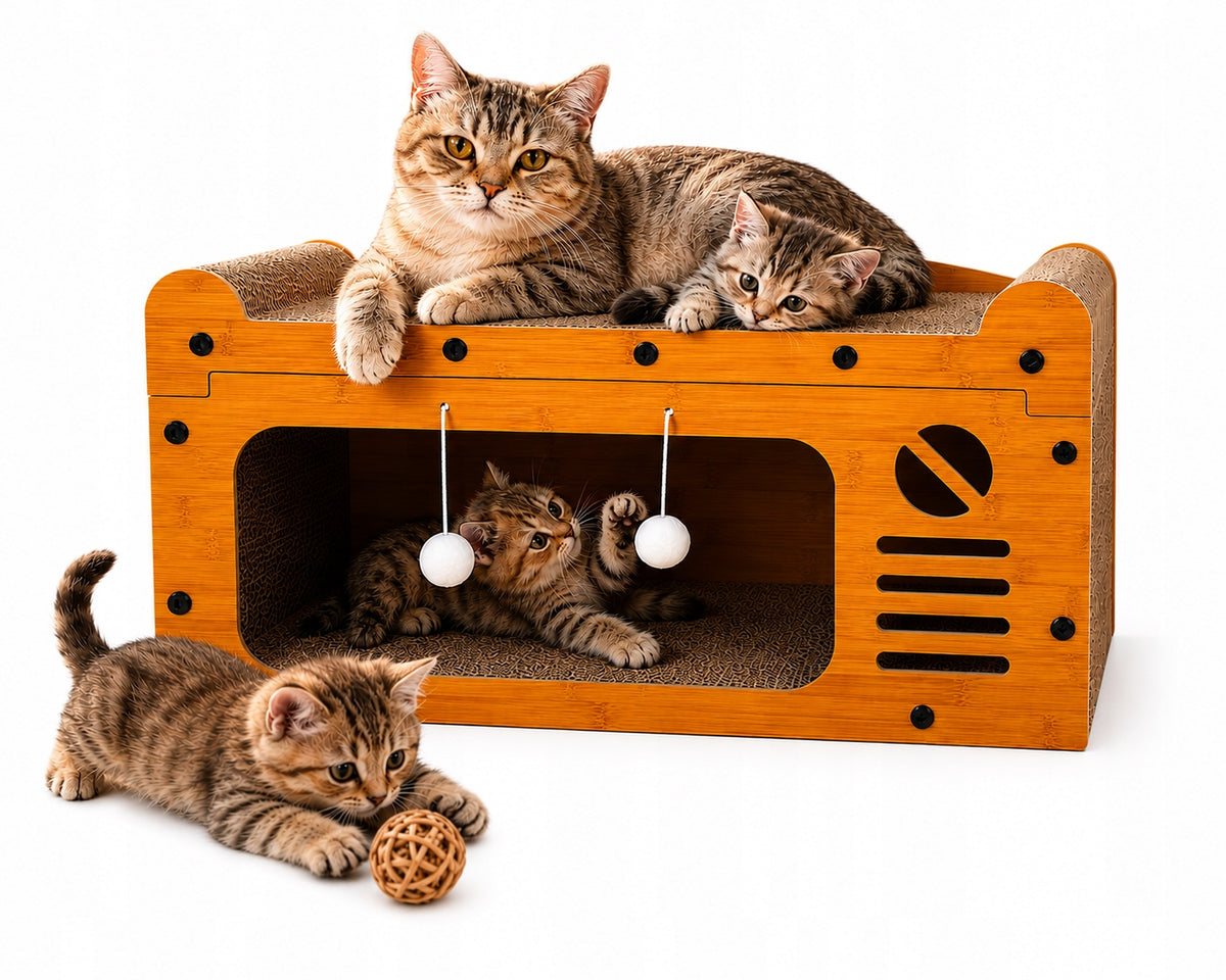 Cat Scratcher Cottage 3in1 ECO with Carton Fun Bed Premium Design