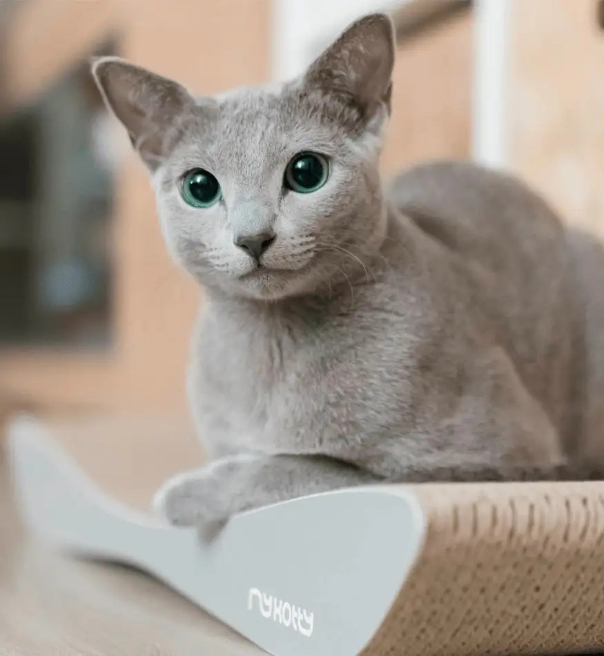 Cat Scratcher TOBI Grey Cardboard Bed Eco Cat Scratcher Manufacturer code 10818