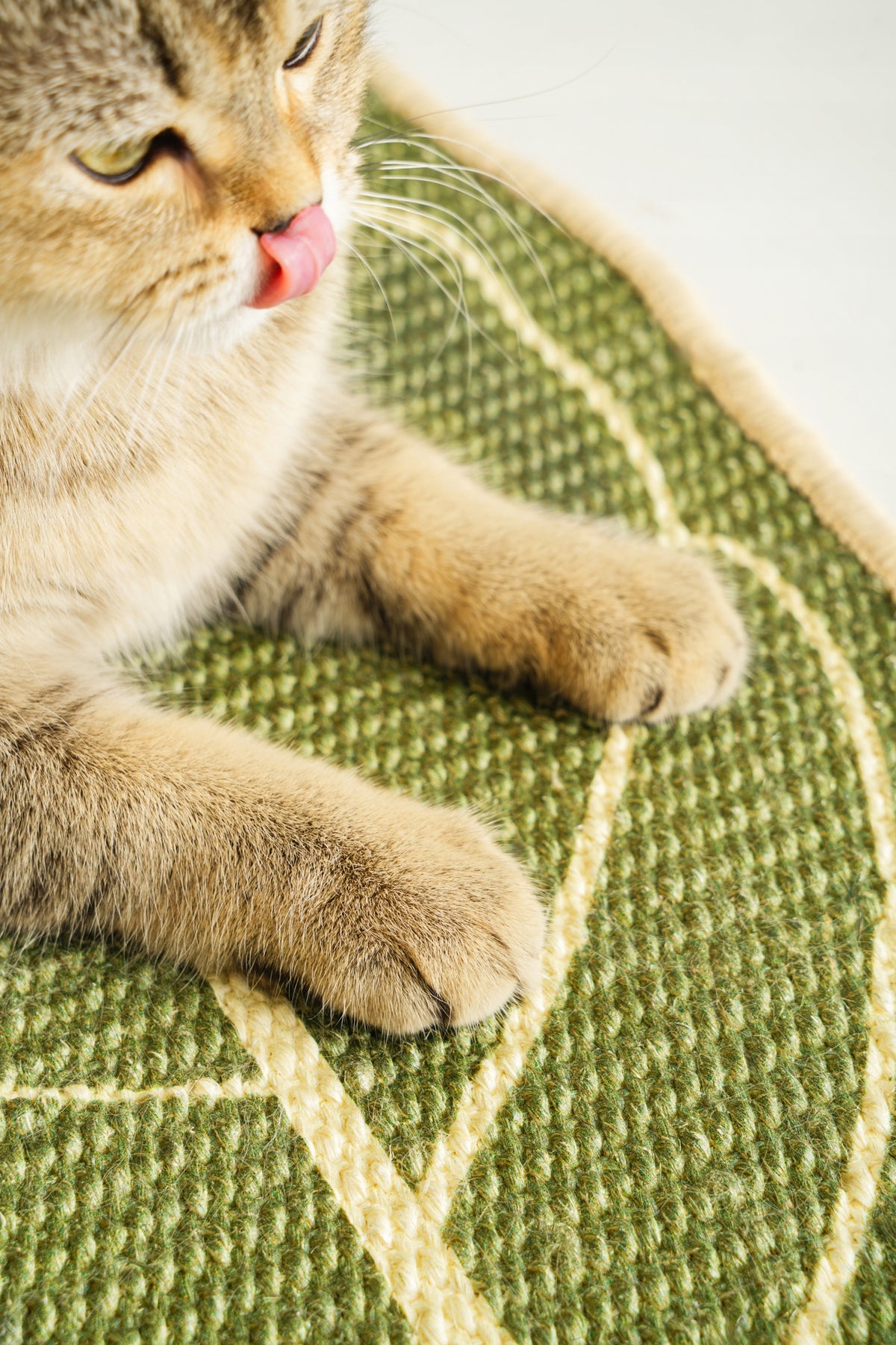 Cat Scratching Mat Leaf Shape Large Non Slip Sisal Scratcher 71*30cm Packaging status original