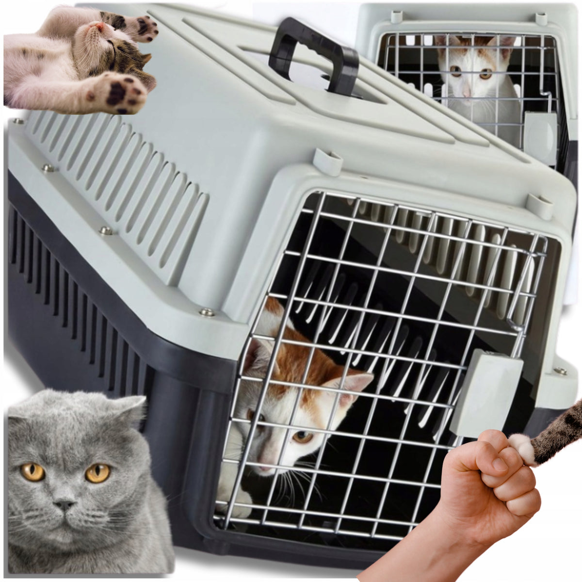 Cat Transporter Rabbit Animal Dog Cage Playpen For Car Large
