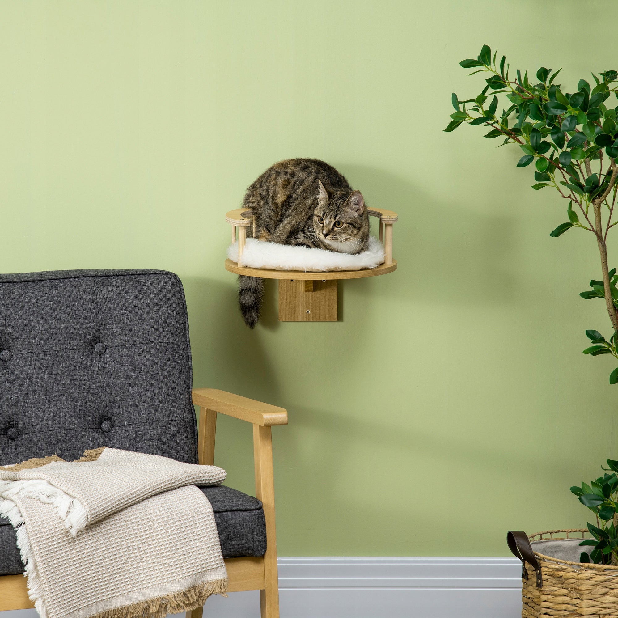 Cat bed with border and pillows Product width 1 cm