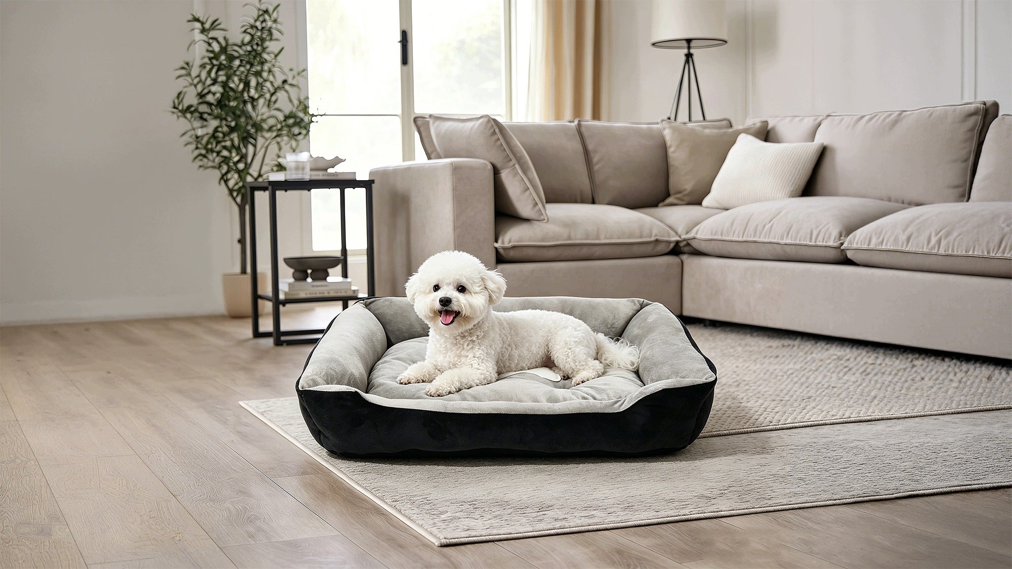 Cat dog bed couch 50x40x15cm Rebel Brand no brand
