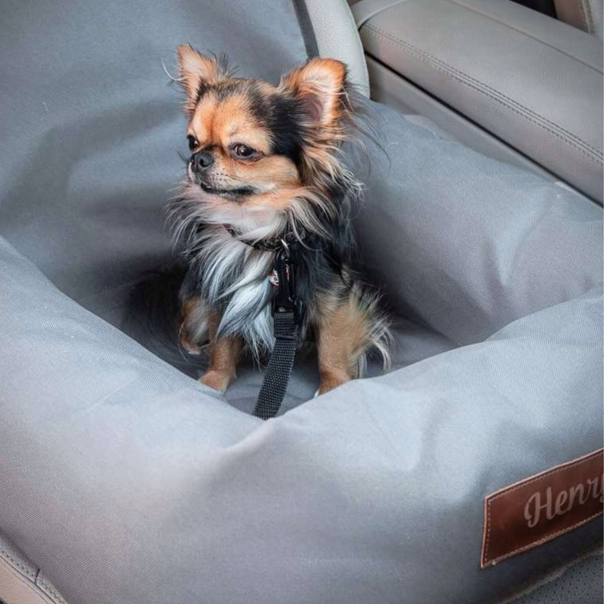 Cat dog transporter car seat for car + Engraving name FREEBIE Packaging status original