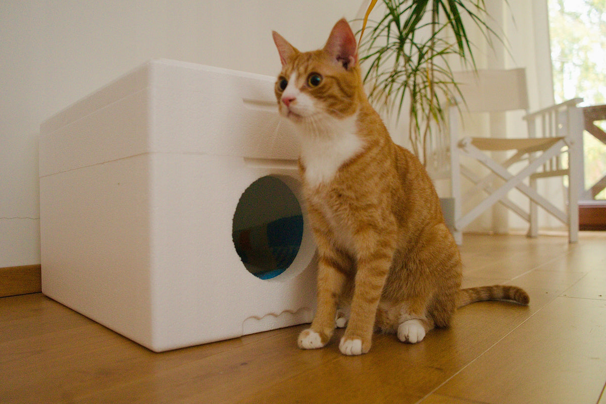 Cat house white 4cm Styrofoam warm Manufacturer code 5903771801065