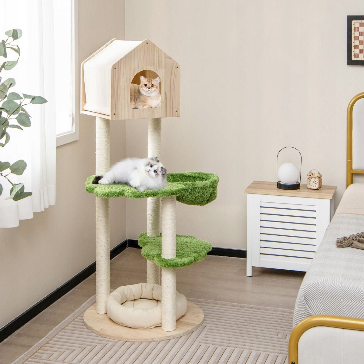Cat scratcher with bed and hammock Color green