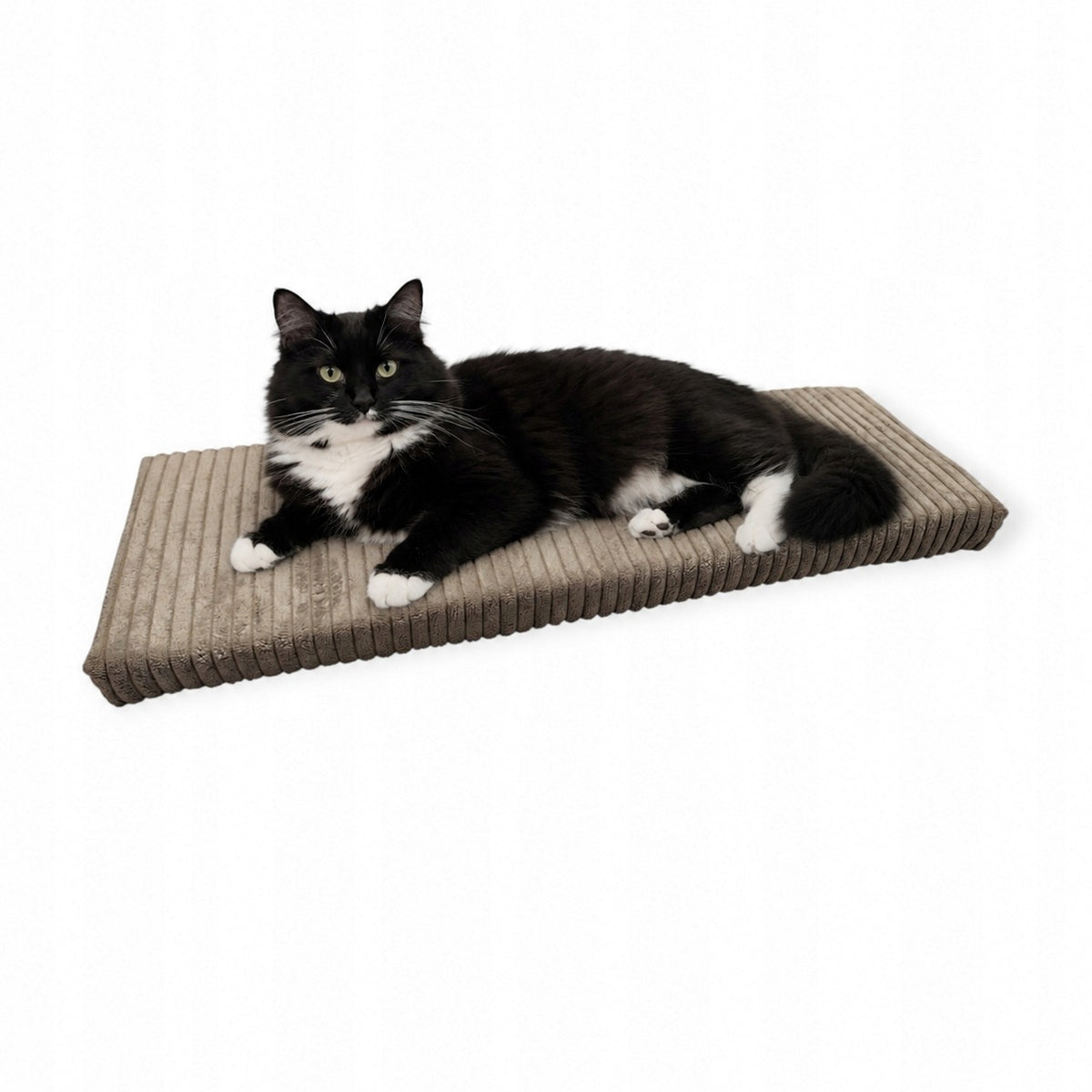 Cat window sill bed corduroy beige non-slip 60x20x4 cm Manufacturer code LDK-60x20x4-BGE