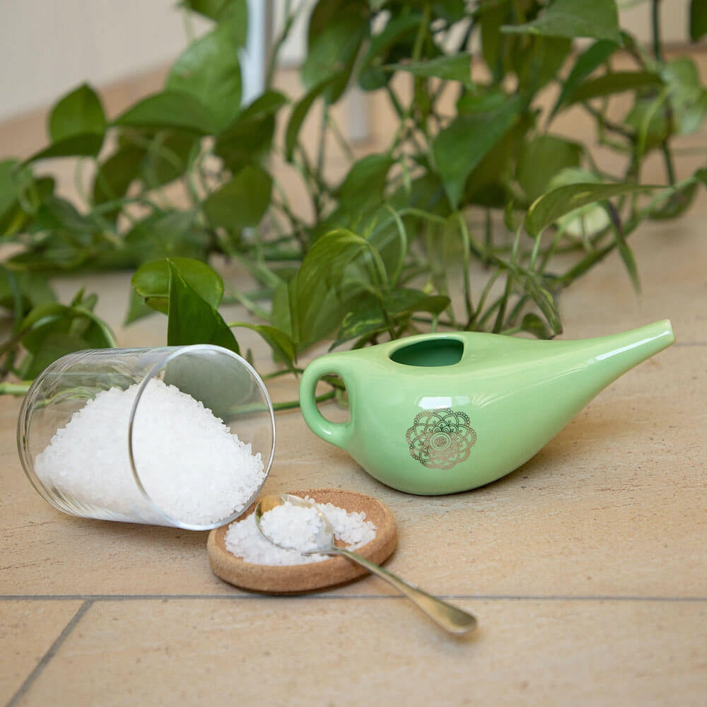 Ceramic dish Bodhi Neti Pot - rinsing nose and sinuses Packaging status original