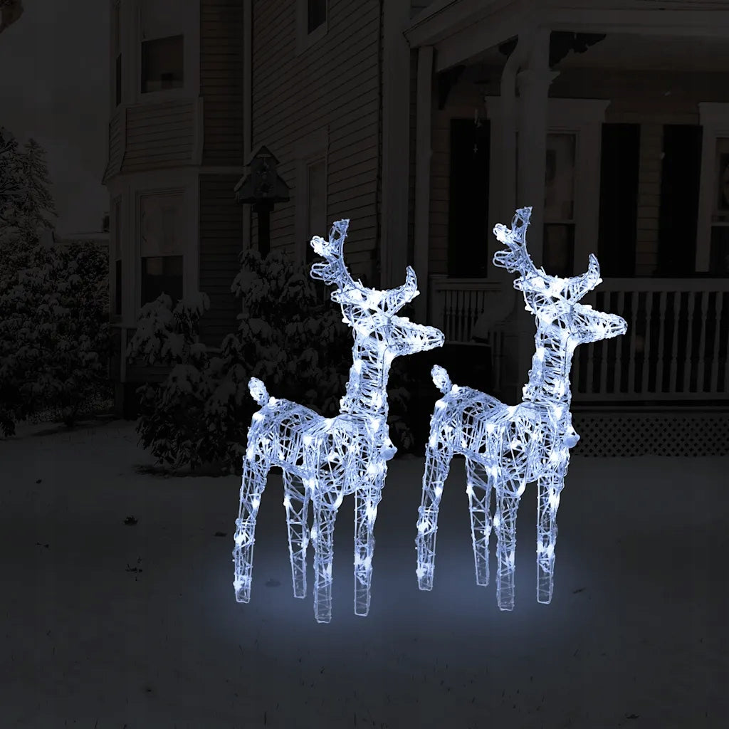 Christmas Reindeer, 2 Pack, 80 Cold White LED, Acrylic Brand VidaXL