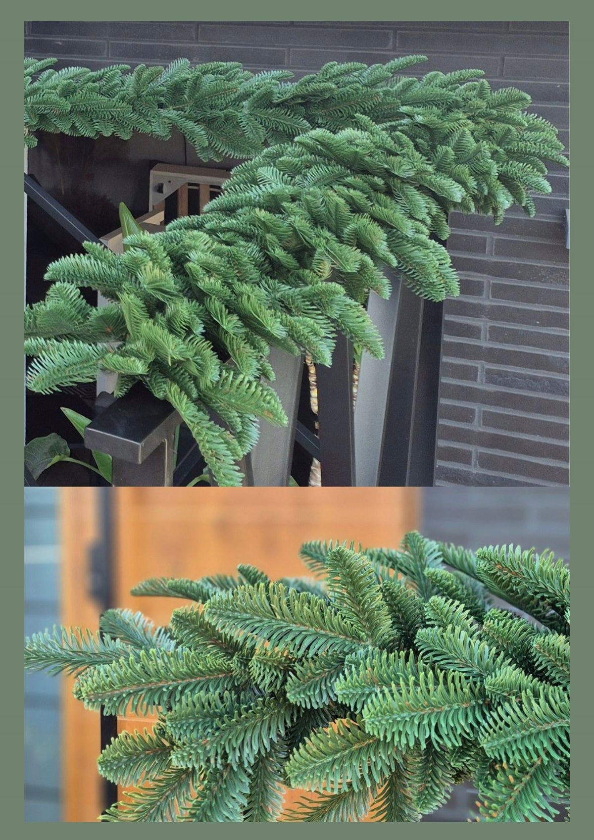 Christmas garland Fir nobiles Forest Green 2D 100% PE 200 cm as live Packaging status original