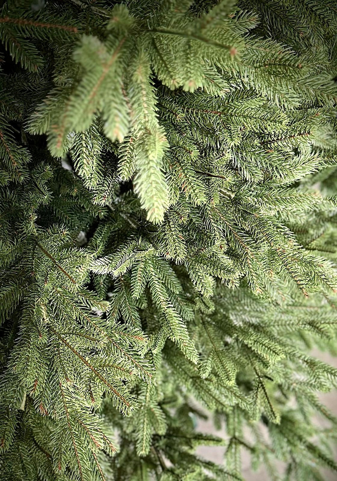 Christmas tree artificial Spruce TWIST 3D 100% PE 180 cm PREMIUM silicone as live Manufacturer code TWIST pe 3d 100%