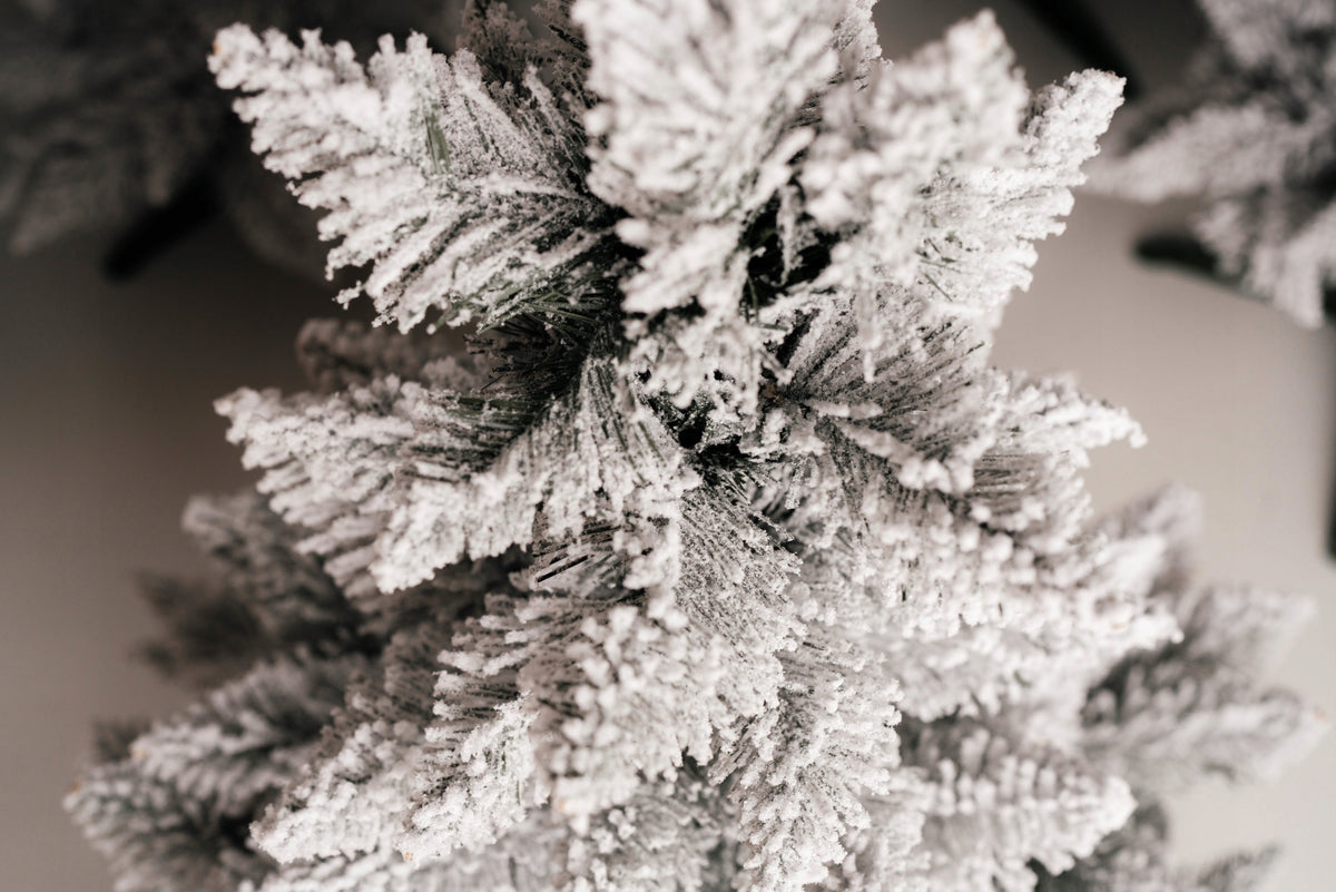 Christmas tree pine SNOW-COVERED SNOW like alive 300 cm Height higher than 250 cm