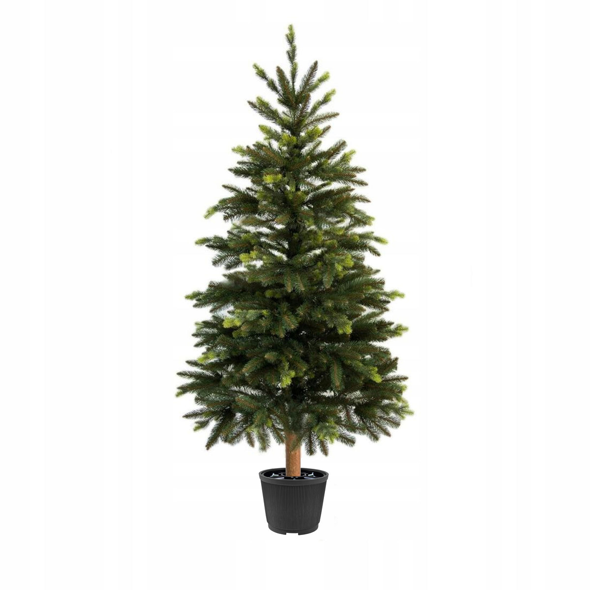 Christmas tree stand 31 x 25 JESTIC anthracite Brand Jestic