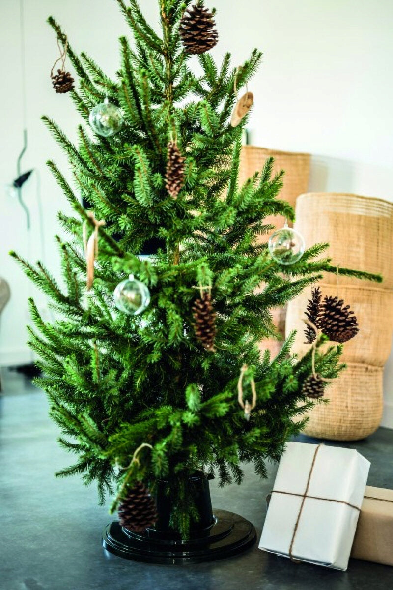 Christmas tree stand MIRPOL 617621 Brand Mirpol