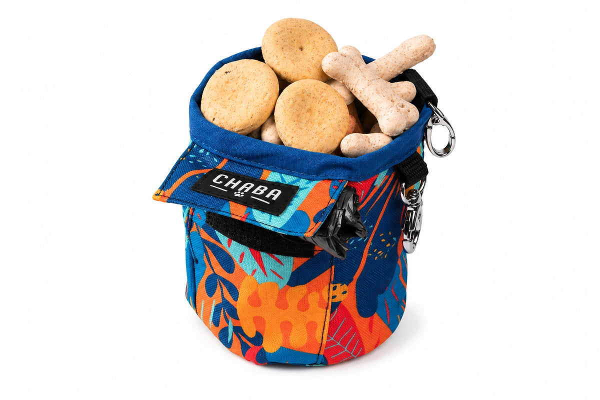 Coach Sachet for Treats and Buyers for Dog 2in1 | Aussie Pattern |CHABA Manufacturer code 1