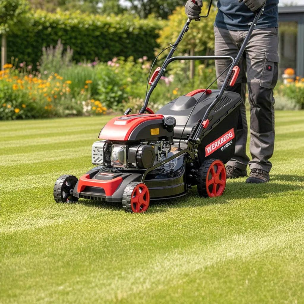 Combustion mower with Drive 149CC 41cm Mulching Adjustment WERKBERG 50L Basket capacity 50 l