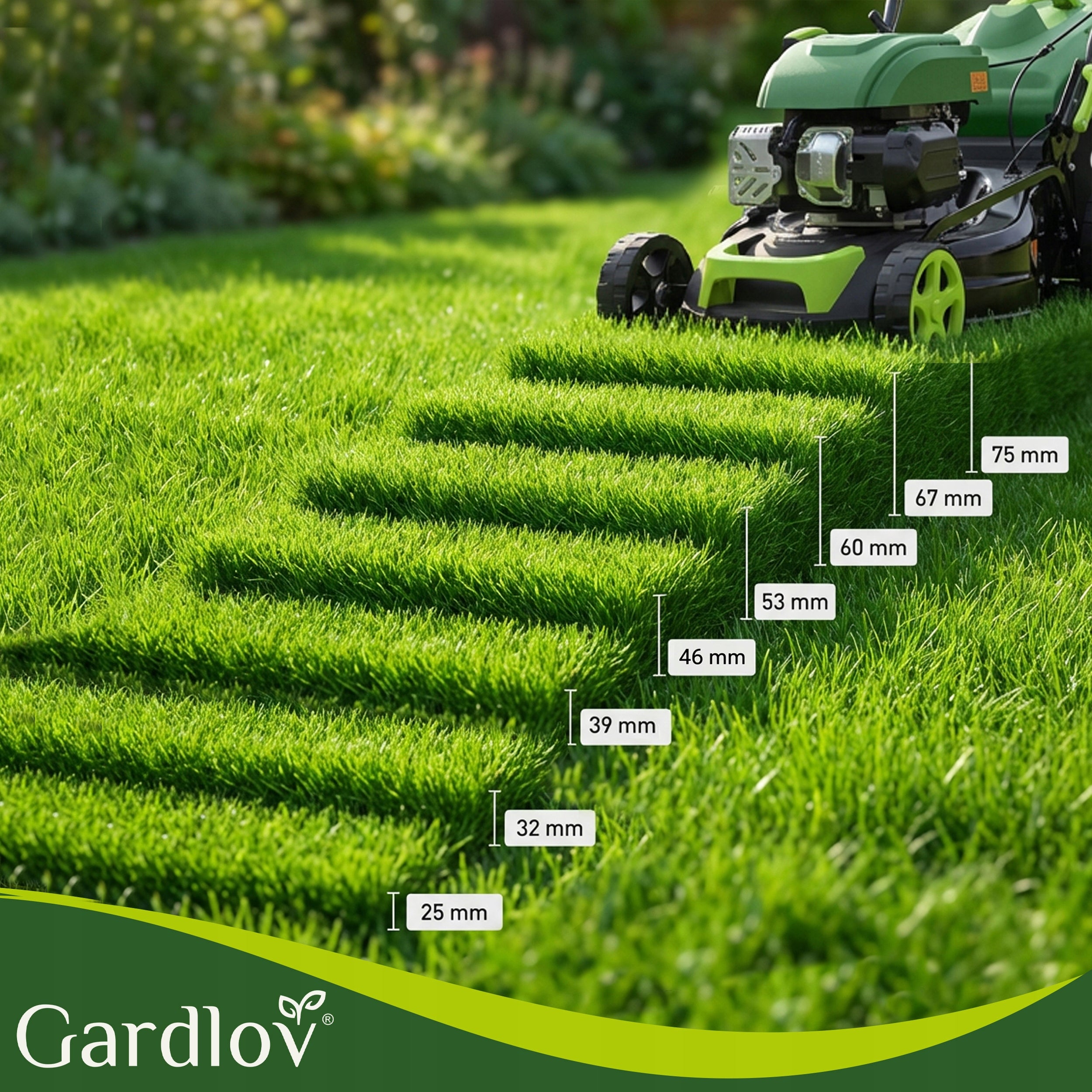 Combustion mower with Drive 51cm Strong196cc Grass 4in1 Mulching 60l Mowing width 51 cm
