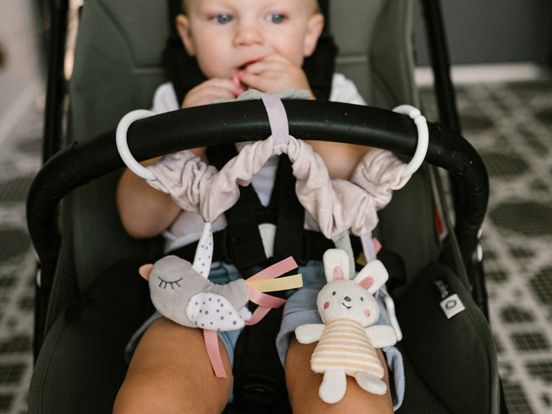 Contrast toy for stroller cot car seat educational toy BabyOno Brand Babyono