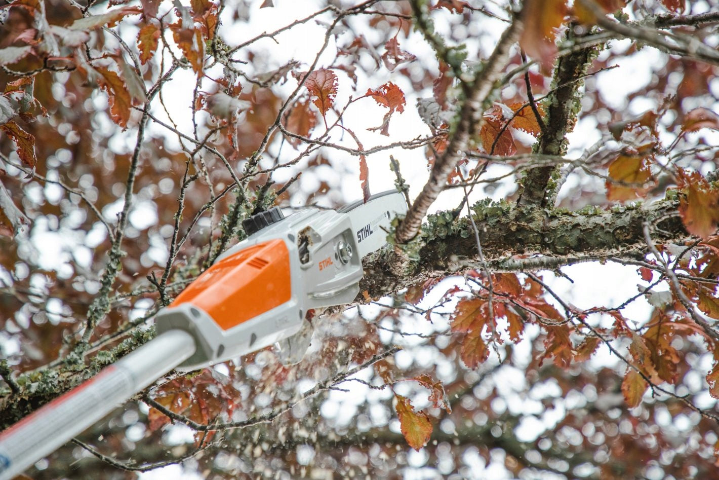Cordless booster HTA 50 Stihl BODY on boom long saw NEW Power 600 W