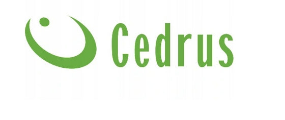 Cordless saw Cedrus CHS350LiX2 without battery and charger EAN (GTIN) 5903228181399