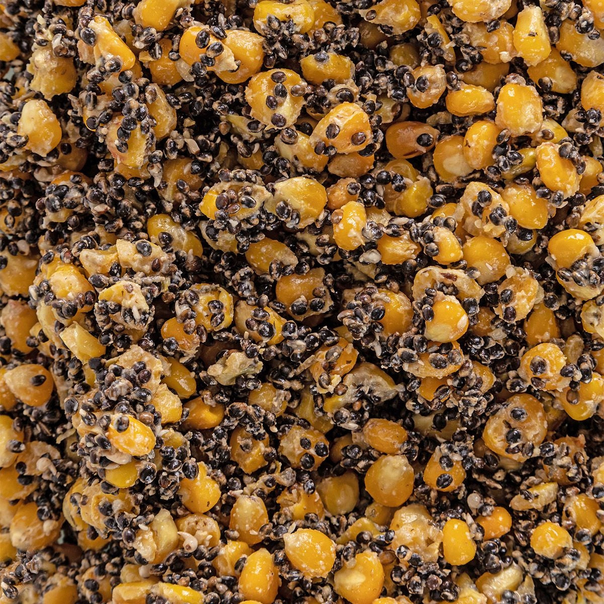 Corn Hemp Ready Fishing Bait 5 kg Manufacturer code 5901111208208