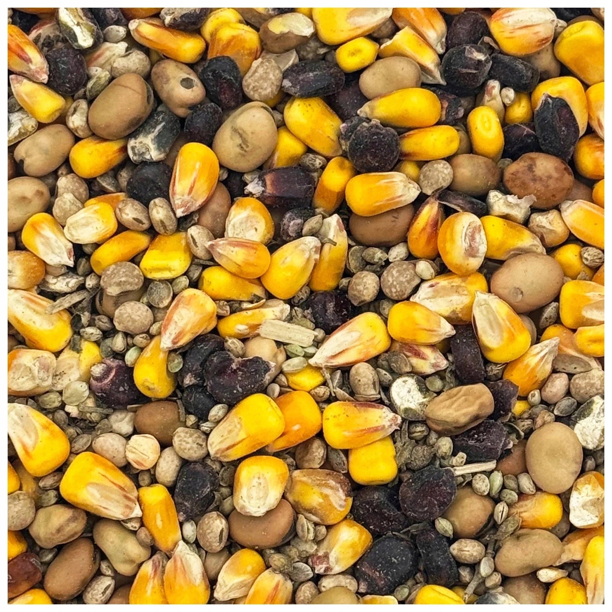Corn bean lupine hemp MIX FISHING GRAINS bait grain 19kg