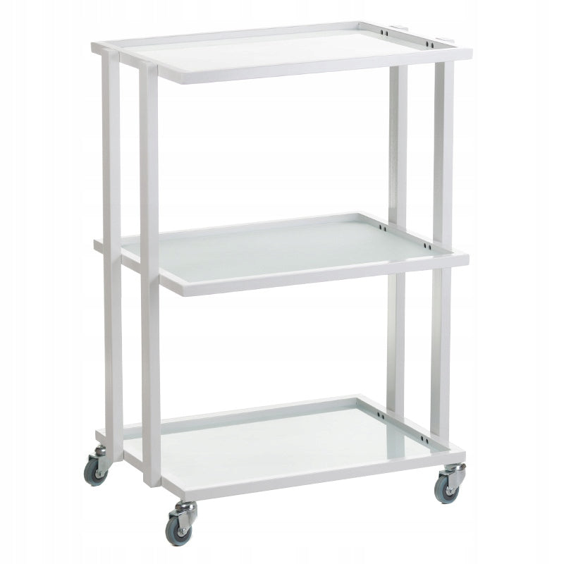 Cosmetic cabinet medical helper BCH-5043