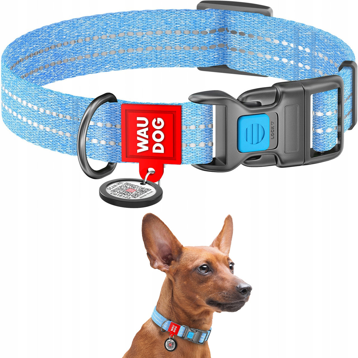Cotton Dog Collar Reflective Blue Size L