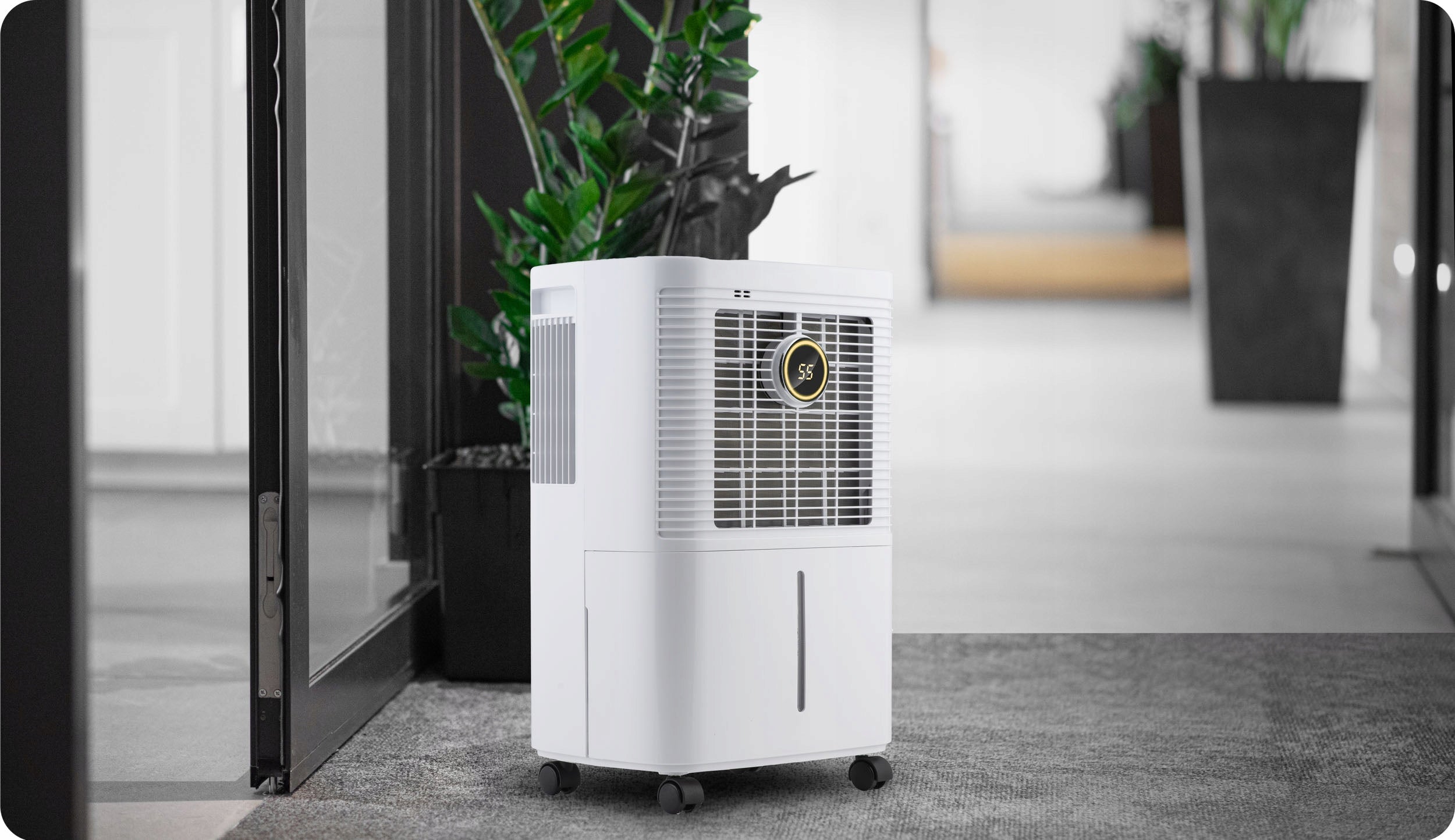 DEHUMIDIFIER COMPRESSOR MOISTURE ABSORBER 12L HYGROSTAT TIMER Brand Berdsen