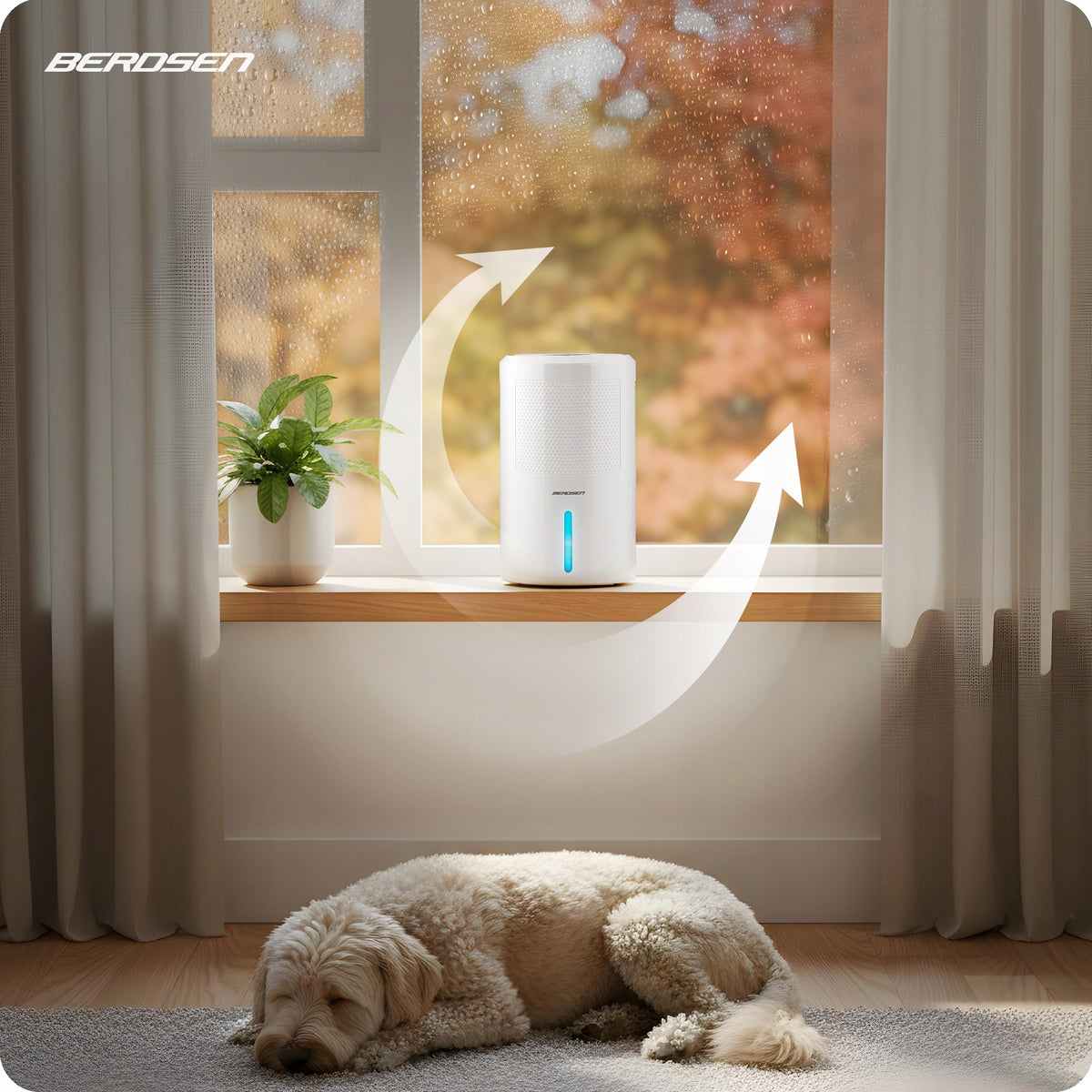 DEHUMIDIFIER MOISTURE ABSORBER 60W QUIET 34dB TIMER LED Berdsen Packaging status original