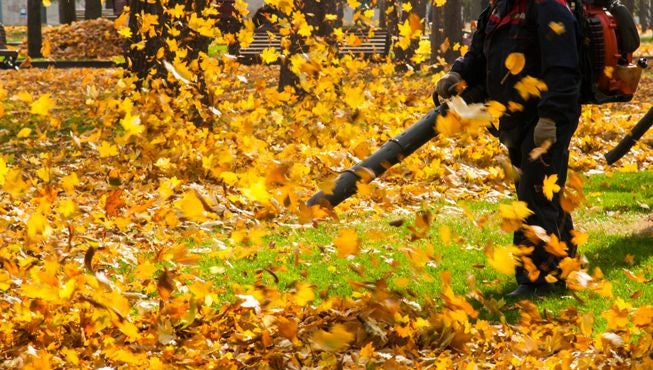 DIESEL BLOWER GARDEN VACUUM CLEANER FOR SNOW LEAVES Brand Boxer Tools