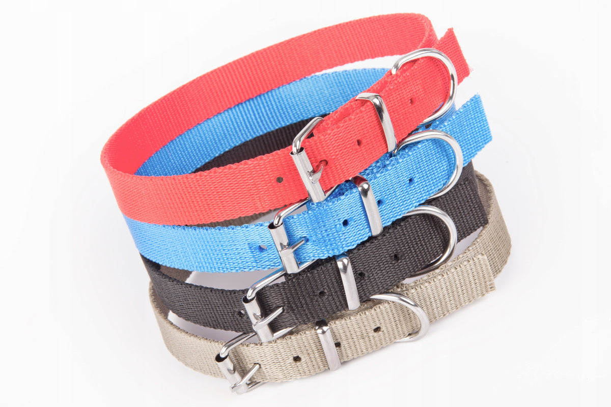 DINGO DOG COLLAR TAPE 2,5X55 CM RED Brand Dingo