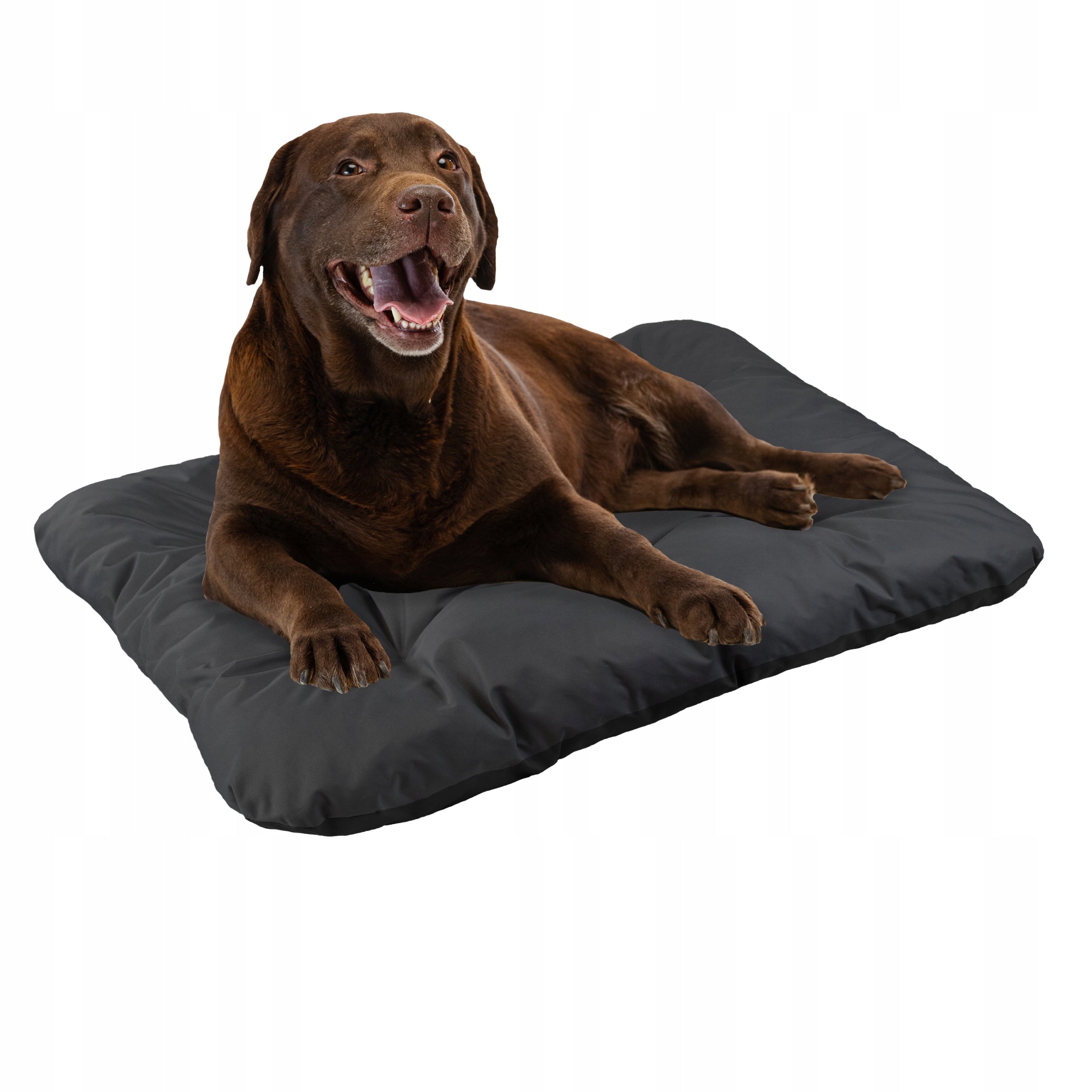 DOG BED 100x70 CM WATERPROOF SOFT BED LARGE CUSHION XL EAN (GTIN) 5902340686577
