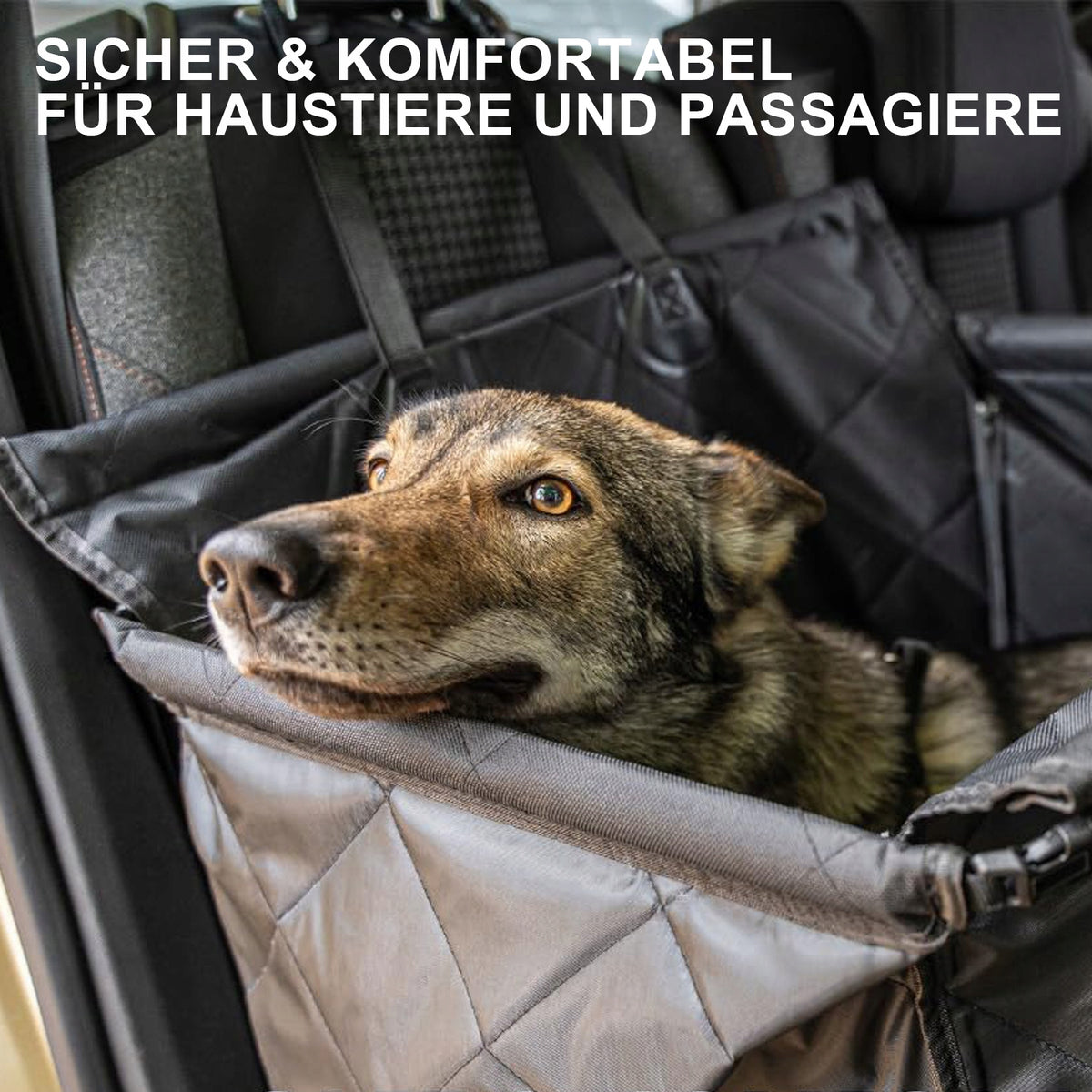 DOG CAR SEAT WITH DOG BELT FOLDABLE PET TRANSPORT BOX FOR BACK SEAT Product height 5 cm