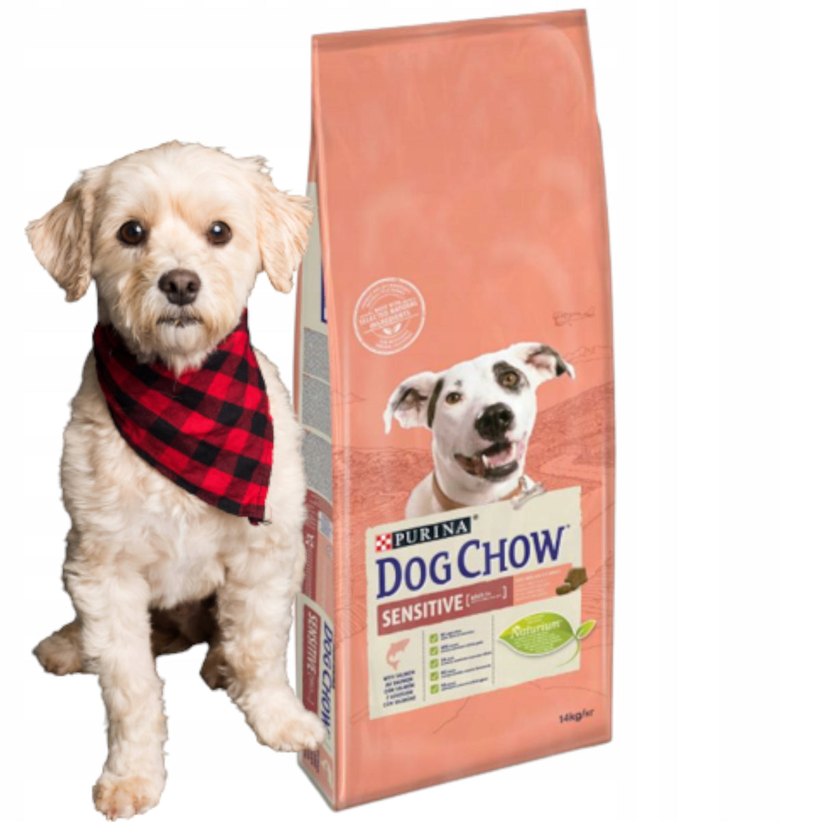 DOG CHOW Adult Salmon 14kg
