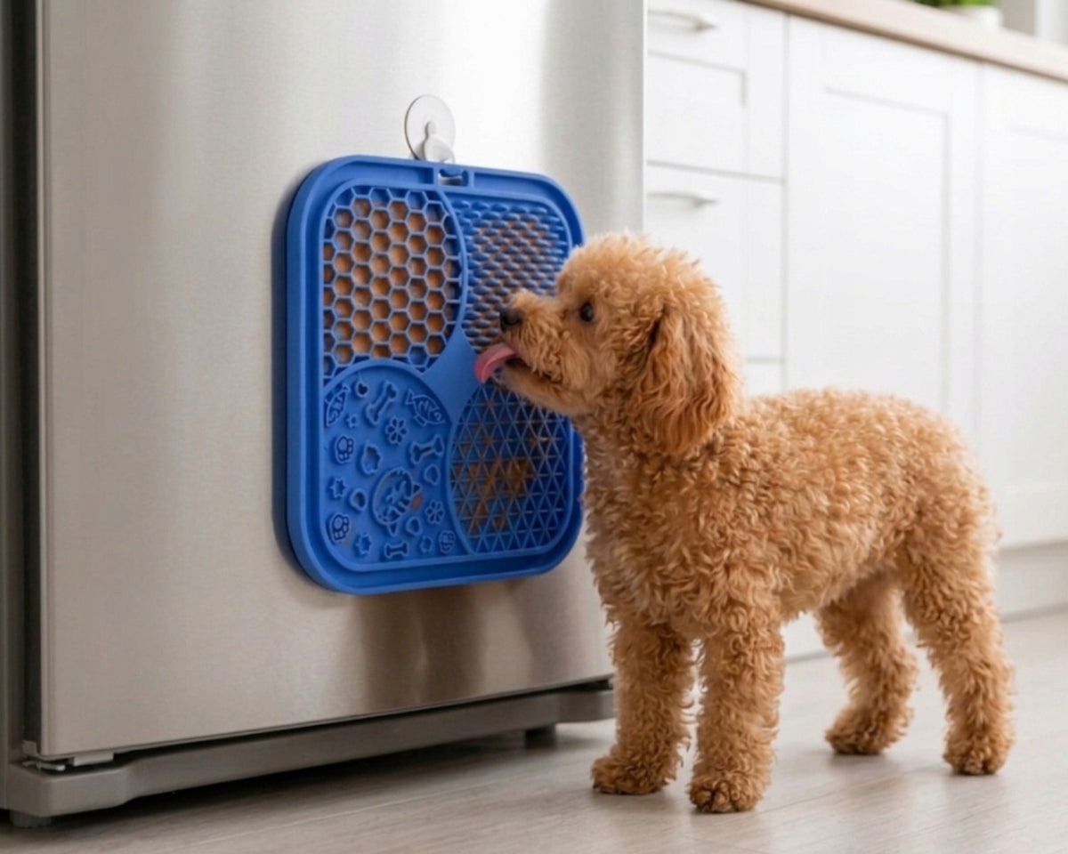 DOG FOOD SLOWING MAT FOR LICKING ANTI-STRESS TRAY 20X20 Manufacturer code MATASPOWALNIAJĄCA