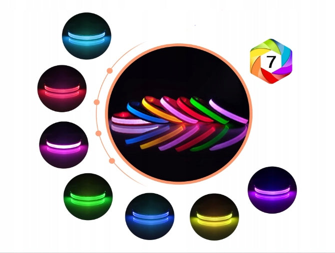 DOG GLOW COLLAR PHILOLET USB STRONG 50-60CM purple Manufacturer code 5902225128345