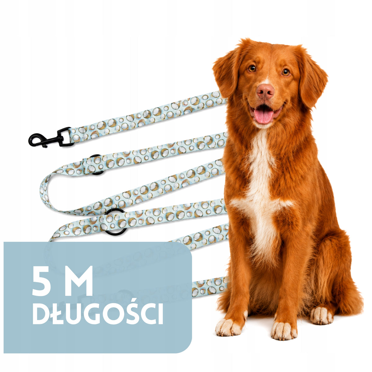 DOG LEASH ADJUSTABLE CLIP-ON STRONG WEBBING 25mm 5 m ZANDOR COCO Packaging status original