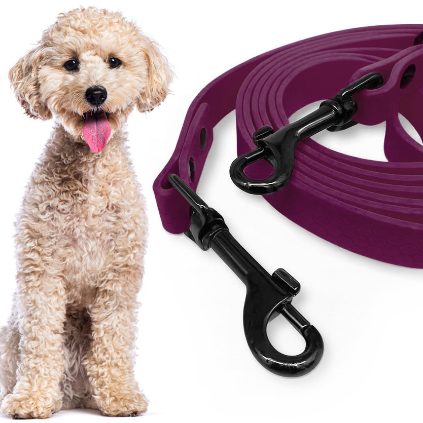 DOG LEASH FOR WALK ADJUSTABLE WATERPROOF BIOTHANE PVC 3m Brand Lililove