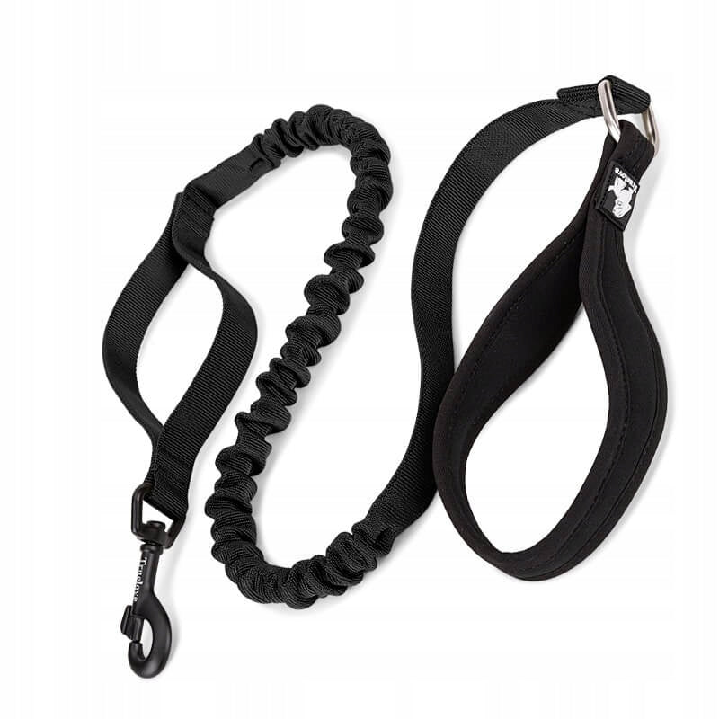 DOG LEASH WITH SHOCK ABSORBER STRONG TRUELOVE ADVENTURE 160CM BLACK L Brand Truelove
