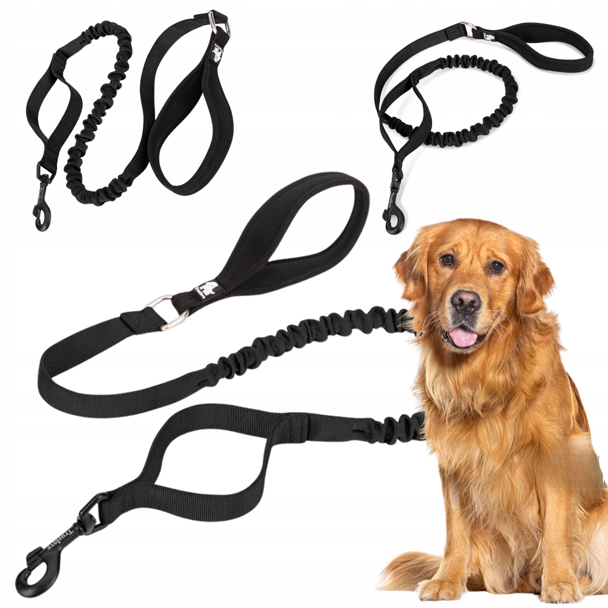 DOG LEASH WITH SHOCK ABSORBER STRONG TRUELOVE ADVENTURE 160CM BLACK L