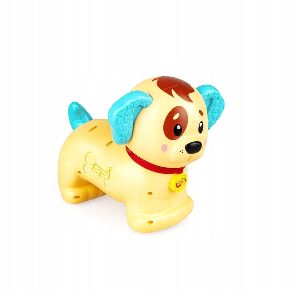 DOG LESIO DUMEL DISCOVERY +12 MONTHS